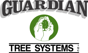 Guardian Tree Logo